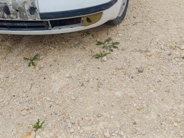 Skoda Fabia 1.2 12v Çıkma Sol Sis