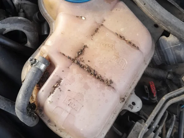 Passat 1.8 Orjinal Su Bidonu