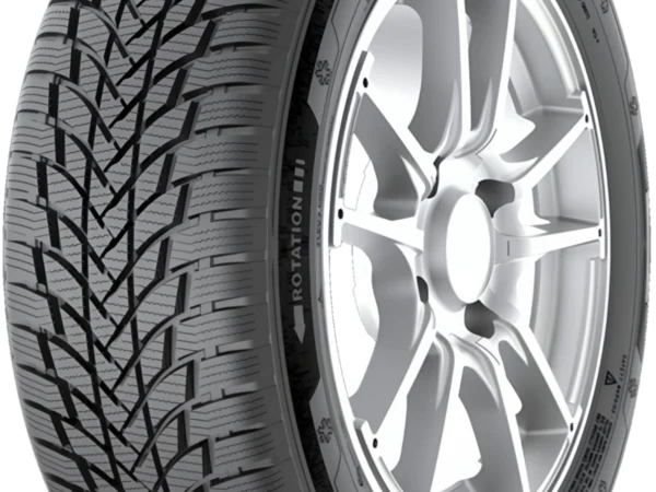 Petlas 185/65 R14 Kış Lastiği