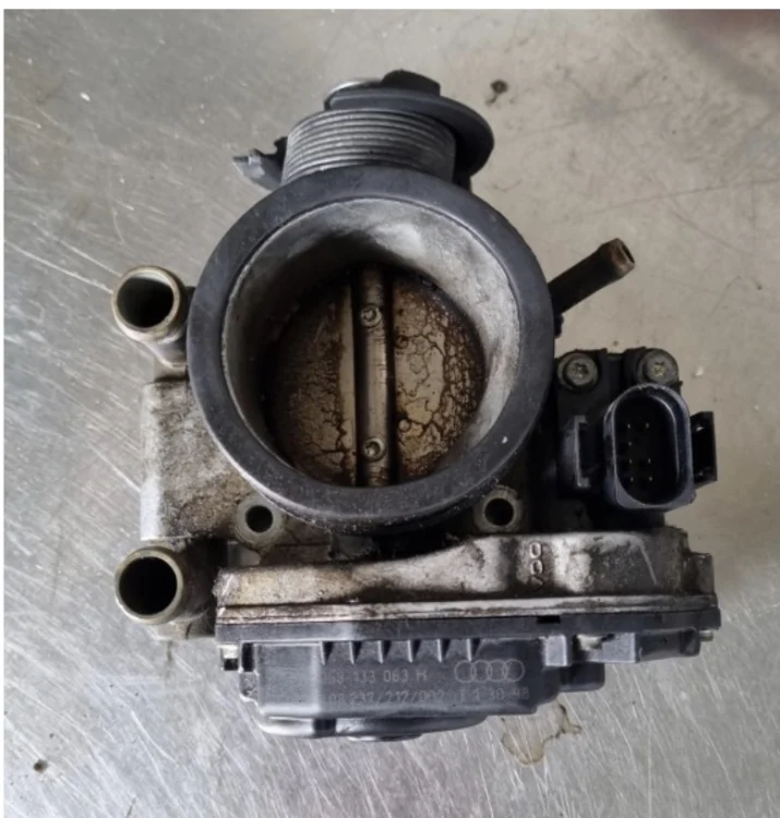 Audi A6 Gaz Kelebeği
