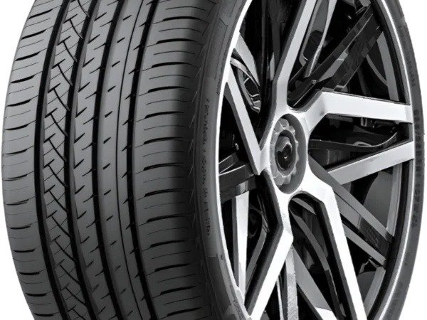 Fronway 255/30 R19 Yaz Lastiği