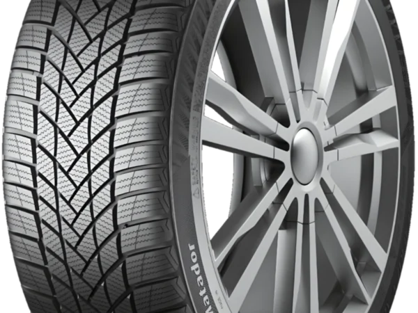 Matador 205/50 R17 Kış Lastiği