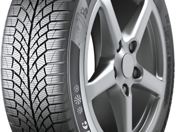 Newgen Viking 195/55 R16 Kış Lastiği