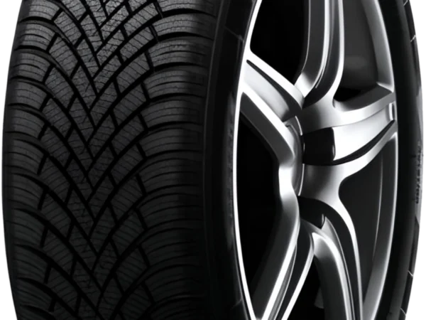 Nexen 215/50 R17 Kış Lastiği