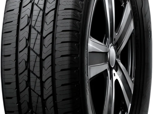 Nexen 265/60 R18 Dört Mevsim Lastiği